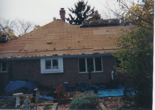 Roof 3.jpg